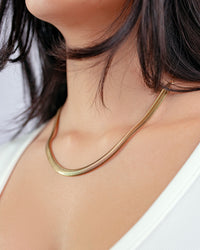 Simple Serpent Necklace